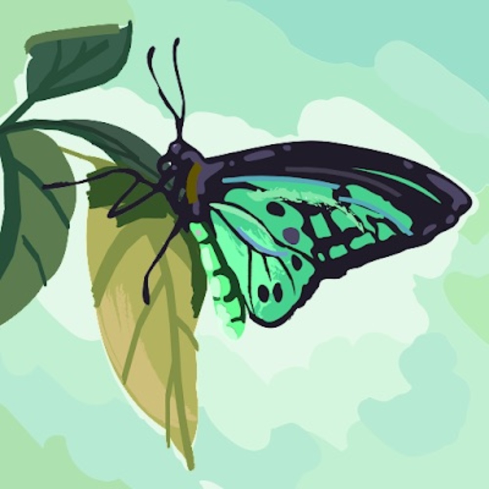 Meet your Posher, Cailey